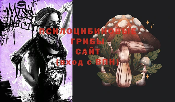 мескалин Алексин