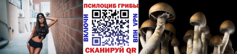 Галлюциногенные грибы ЛСД  купить закладку  Кореновск 